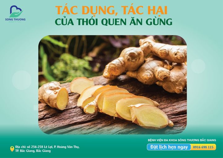 TÁC DỤNG, TÁC HẠI CỦA THÓI QUEN ĂN GỪNG